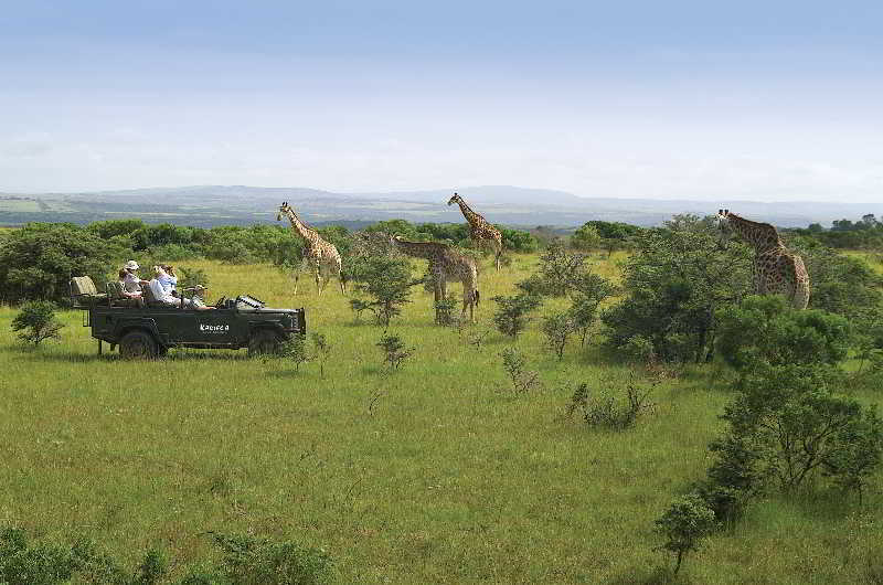 Kariega Game Reserve Bushman's River Mouth Esterno foto