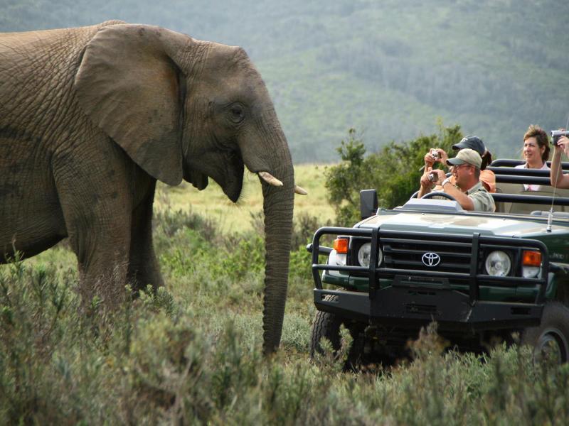 Kariega Game Reserve Bushman's River Mouth Esterno foto